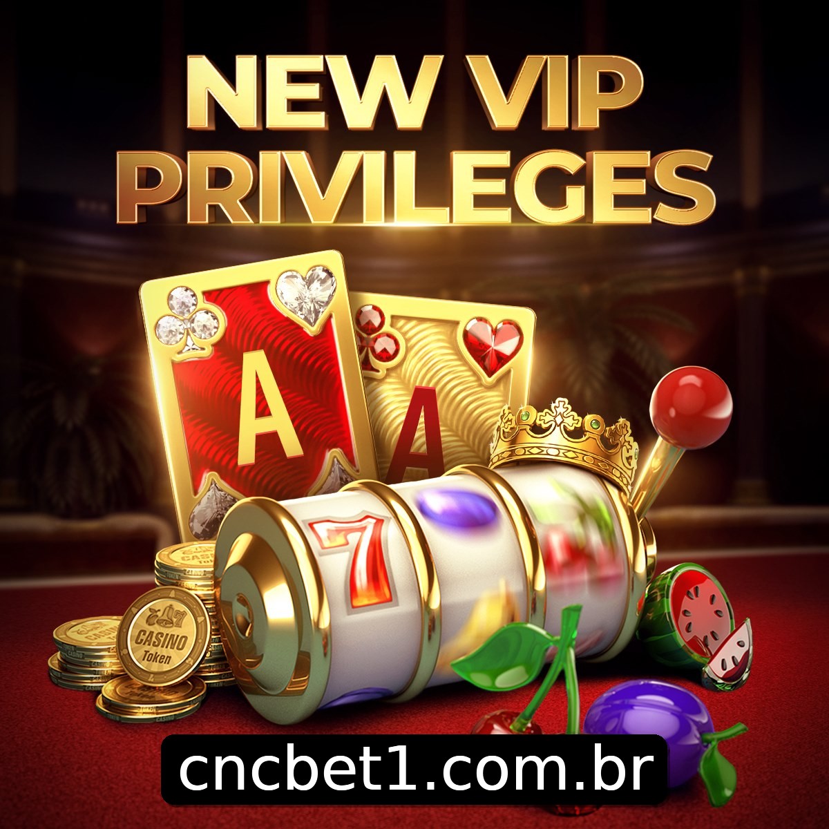 Programa VIP cncbet